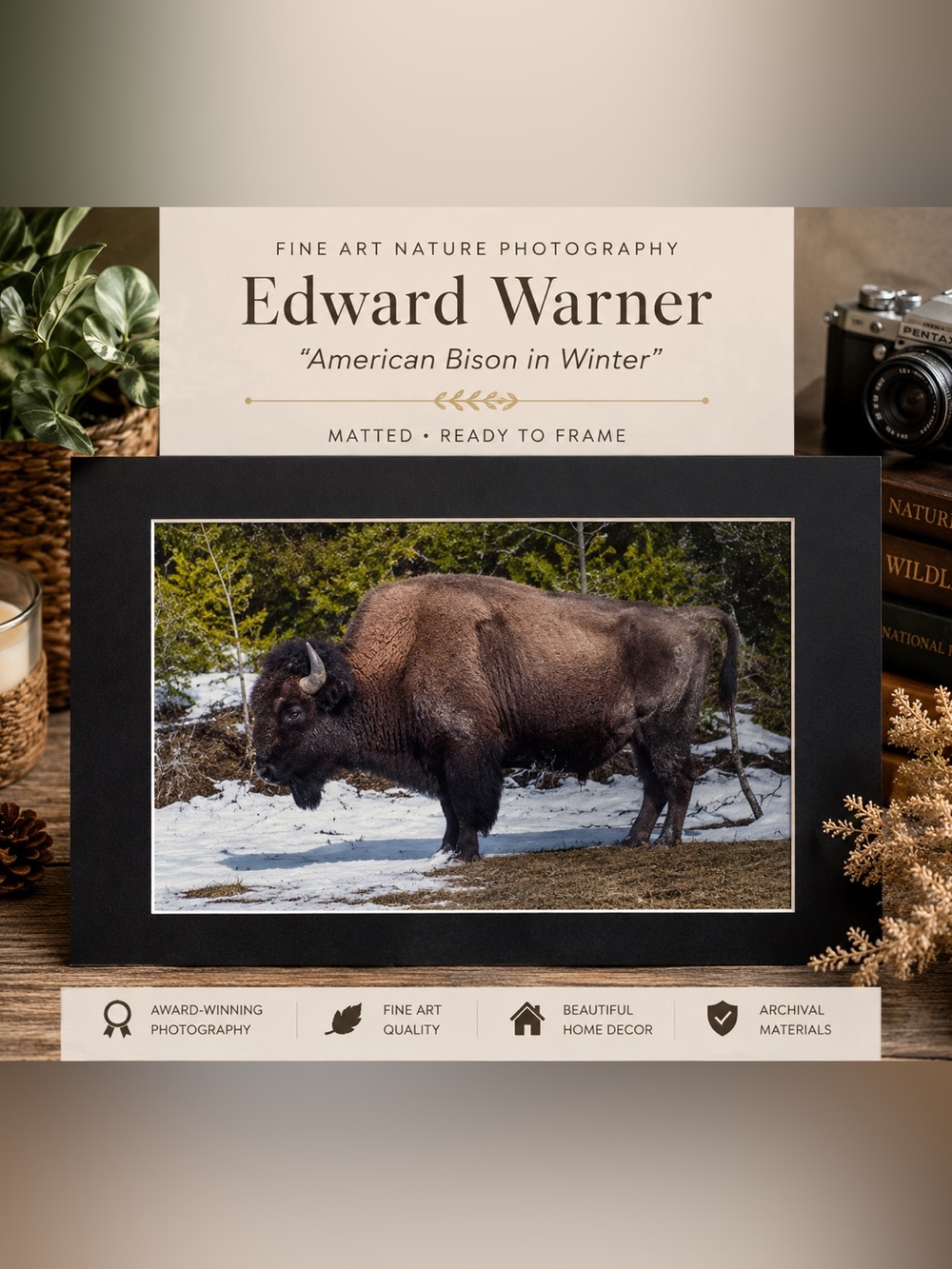 American Bison in Winter” – Edward Warner Fine Art Wildlife Photography